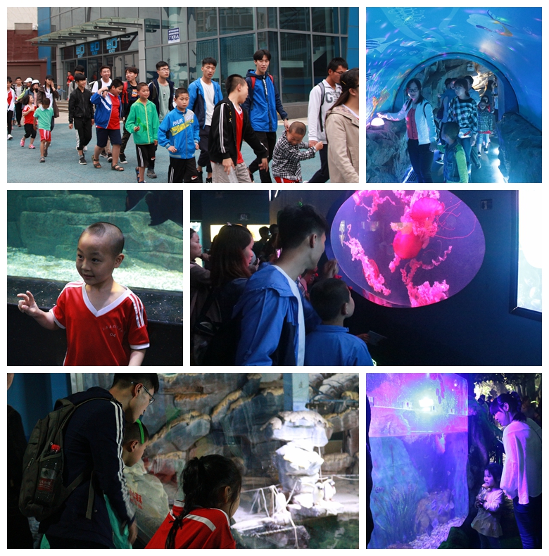 參觀曲江海洋館.jpg
