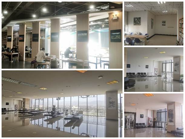 16edcc5ad273a6a791c6758070538a36